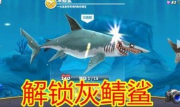 饥饿鲨最新爆料,揭秘深海巨兽的神秘生活