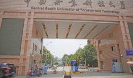 长沙大学爆料事件最新,揭秘校园内幕引发社会关注