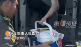 老杨最新爆料视频,最新爆料视频深度解析