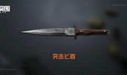 暗区最新近战武器爆料,近战霸主横空出世，战局再掀风云