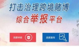 十个最新爆料网站大全视频,最新视频爆料大盘点