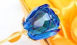 水晶玫瑰最新爆料,明星幕后故事大曝光