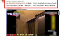 餐厅爆料视频大全最新,一窥美食背后的秘密与真相