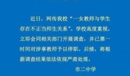 最新爆料网上海老师,最新爆料揭示教育行业背后真相